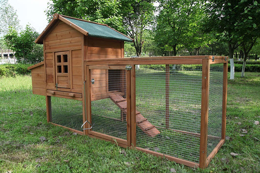 Explore the Chicken Coops