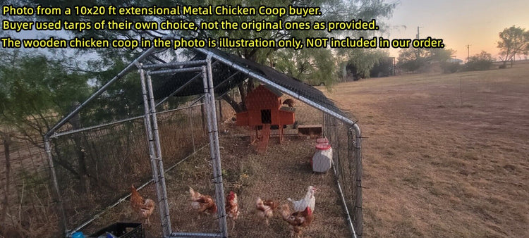 Chicken Run 20x10 ft Walk in Coop w/ Metal Door